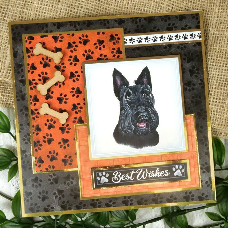 Hearts, Bones & Pawprints MDF Shapes